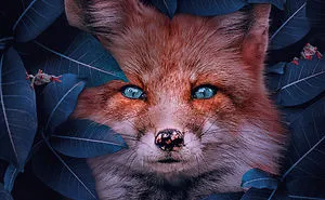 16 Stunning Animal Portraits By Andreas Häggkvist To Raise Awareness For Endangered Species