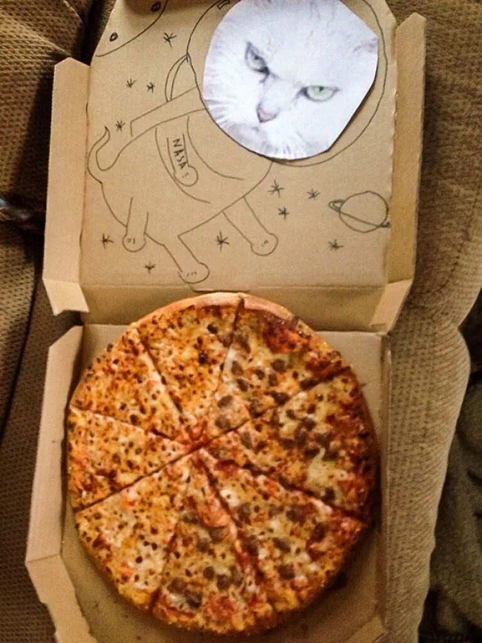Pedimos un gato del espacio en la caja