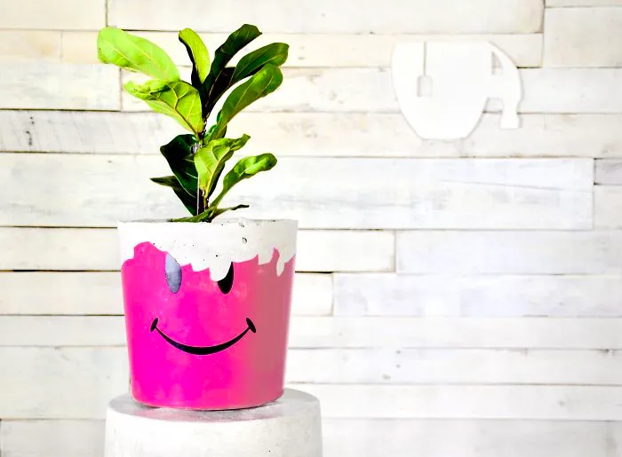 I Can’t Stop Smiling At This Stupid Concrete Pot.