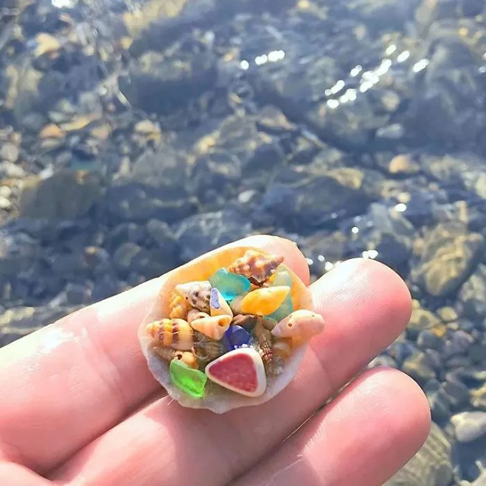 So Tiny, So Colorful, So Cute