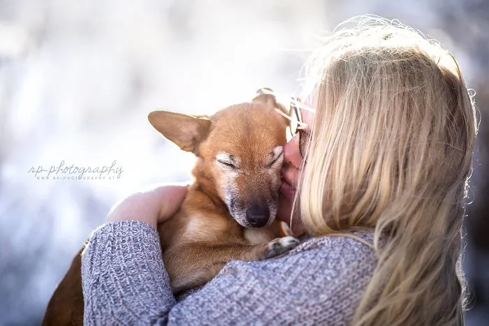 I Capture The Whimsical Side Of Dogs In My Photography (48 Pics)