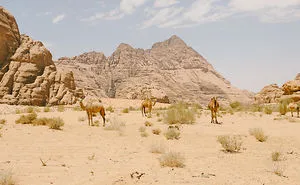 I Traveled Throughout Jordan Taking Photographs That Show The World Its Remarkable Ancient Beauty.