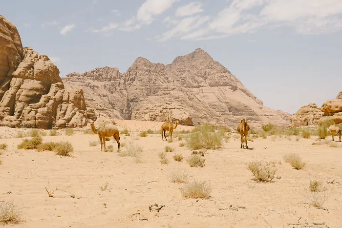I Traveled Throughout Jordan Taking Photographs That Show The World Its Remarkable Ancient Beauty.