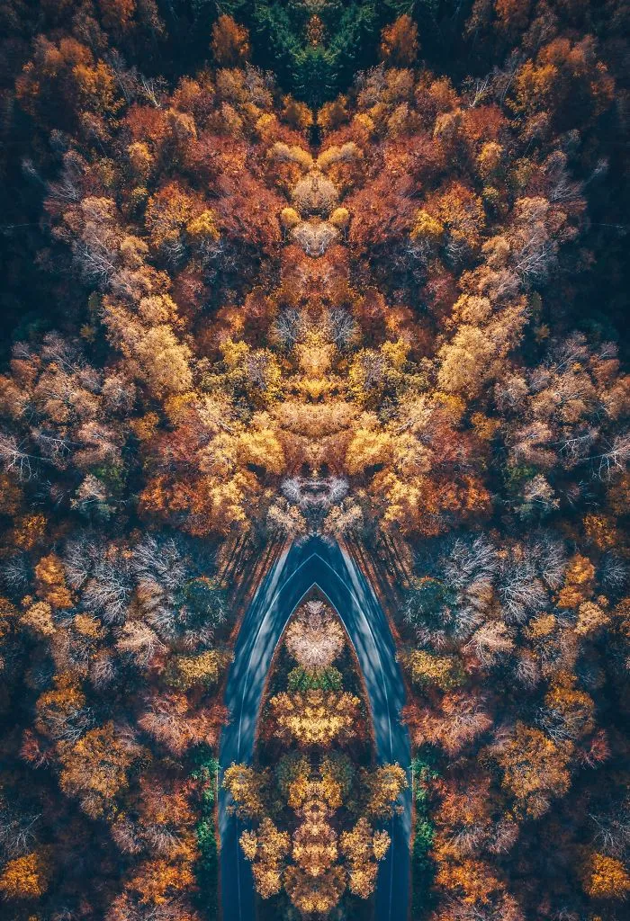 I Photographed Transylvania In An Abstract Way From Above