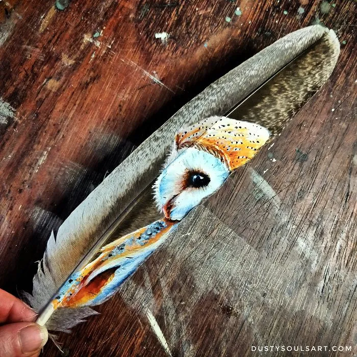 Barn Owl On Peafowl