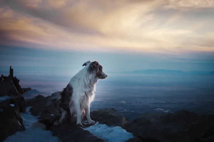 They Are Best Enjoyed From The Top Of A Mountain