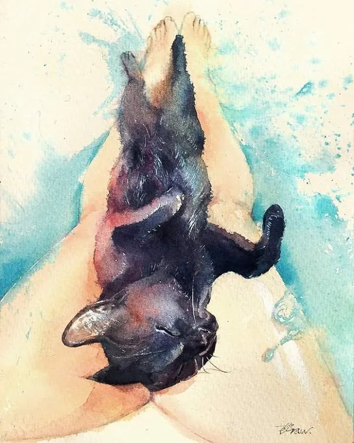 Playing A Waterslide With A Cat