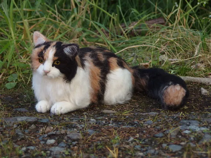I Create Striking, Highly Realistic  Miniature Cats And Dogs Out Of Felted Wool