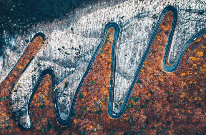Ekg Of The Seasons