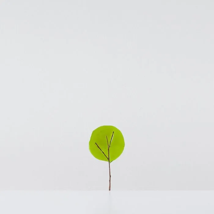 113k Instagram Followers Can't Get Enough Of These Minimalist Everyday-Object Photos By Thai Photographer