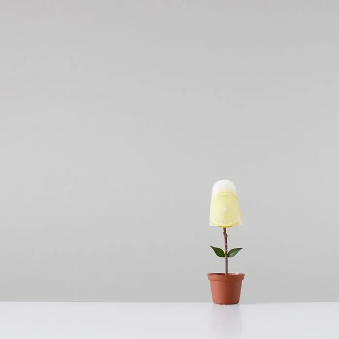 113k Instagram Followers Can't Get Enough Of These Minimalist Everyday-Object Photos By Thai Photographer