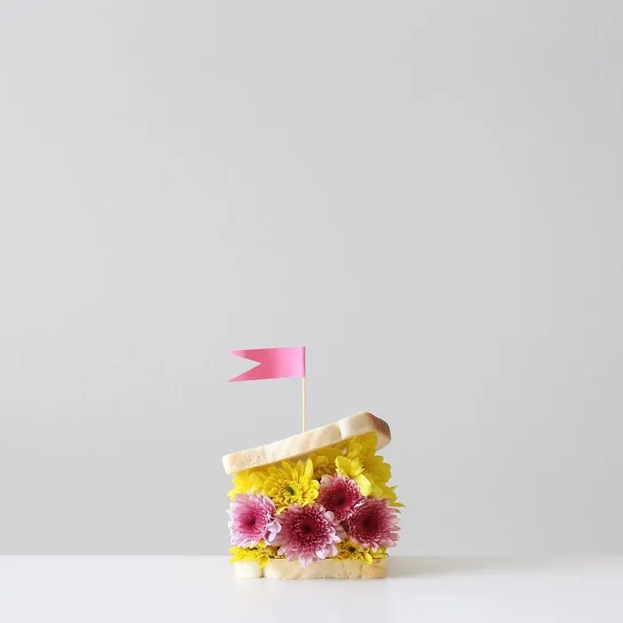 113k Instagram Followers Can't Get Enough Of These Minimalist Everyday-Object Photos By Thai Photographer