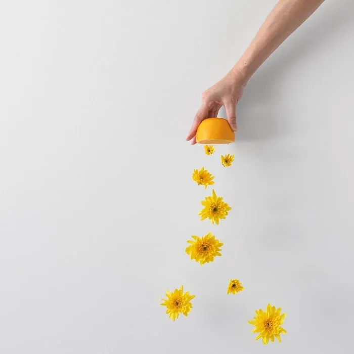 113k Instagram Followers Can't Get Enough Of These Minimalist Everyday-Object Photos By Thai Photographer