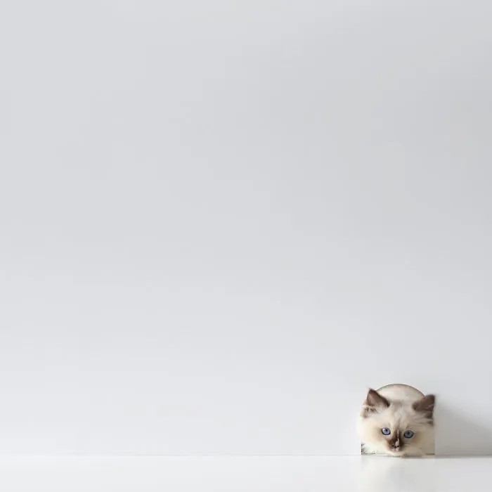 113k Instagram Followers Can't Get Enough Of These Minimalist Everyday-Object Photos By Thai Photographer