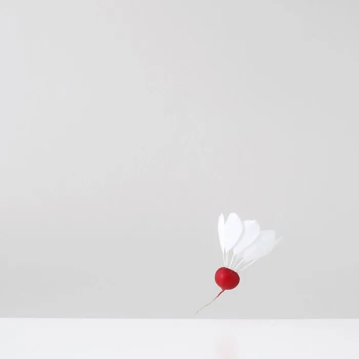 113k Instagram Followers Can't Get Enough Of These Minimalist Everyday-Object Photos By Thai Photographer
