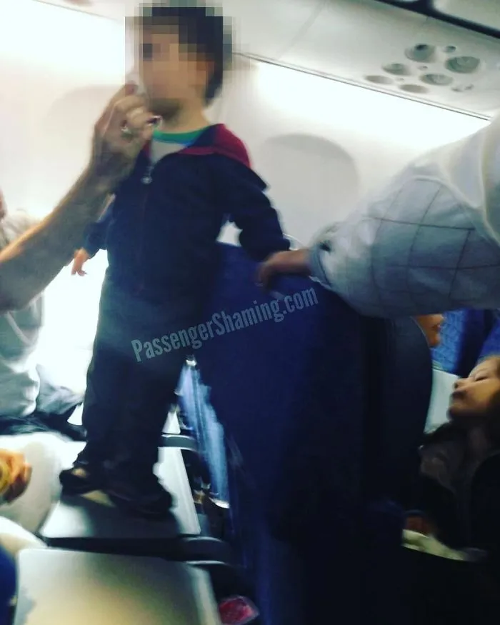Y la gente las usa para poner comida encima...