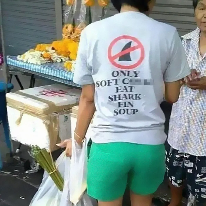 Shark Soup