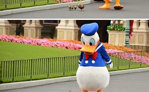 24 Of The Most Awesome Things That Disney Employees Have Ever Done