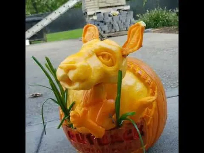 Joey The Kangaroo (Outback Steakhouse )