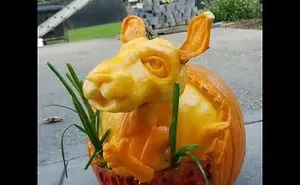 Joey The Kangaroo (Outback Steakhouse )