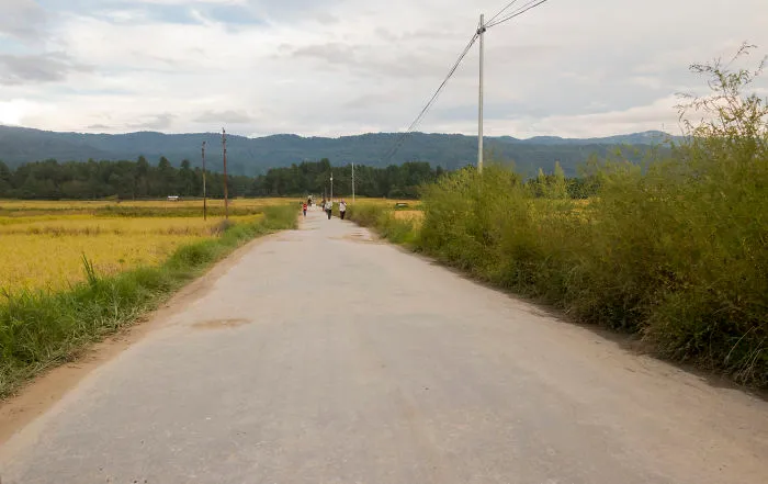 Ziro Festival Of Music