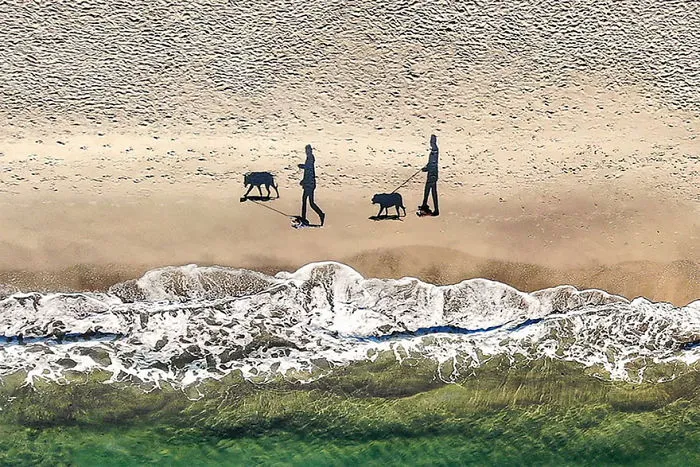 3º premio. 2 perros, 2 personas y 4 sombras, por Qliebin