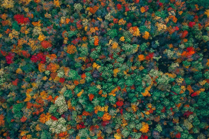 Enamorarse. Costa este de EEUU, por Zekedrone