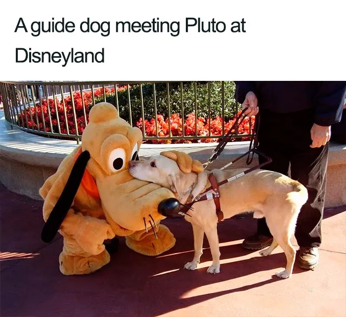 24 Of The Most Awesome Things That Disney Employees Have Ever Done