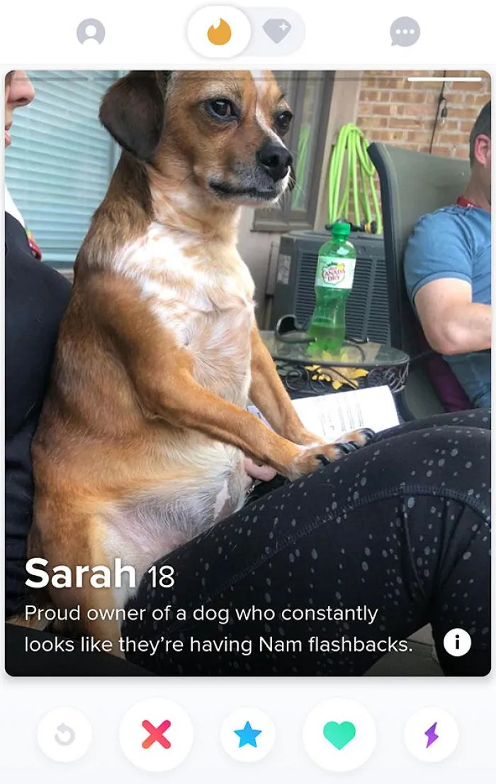 Dog sitting on a person's lap in a funny Tinder profile, illustrating humor in Tinder profiles with quirky pet moments.