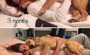 30 Photos Of Dogs Growing Up Next To Their Owners