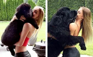 30 Photos Of Dogs Growing Up Next To Their Owners