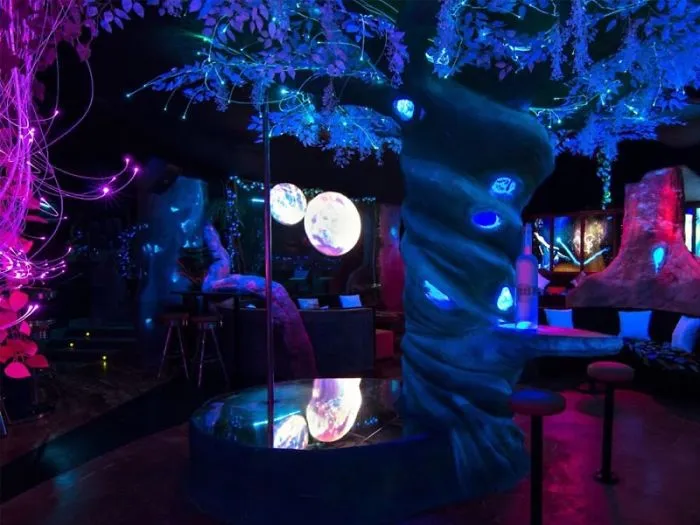 Never Bewildered In Trying Best Nightlife Experience With A Gin Shot