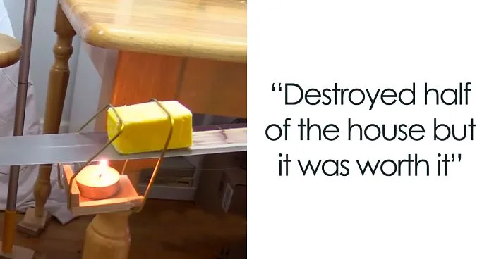 Guy Builds And Films A Chain-Reaction Machine In His Dining Room And You Won't Believe It's Not Edited