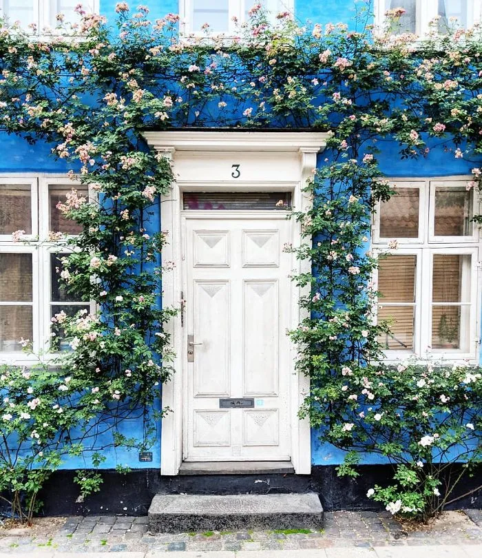 Esta mujer capta las puertas más bellas de Londres, y parecen salidas de una película de Wes Anderson