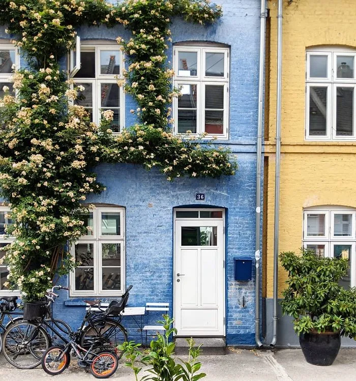 Woman Captures London's Most Beautiful Front Doors And They Look Straight Out Of A Wes Anderson Movie
