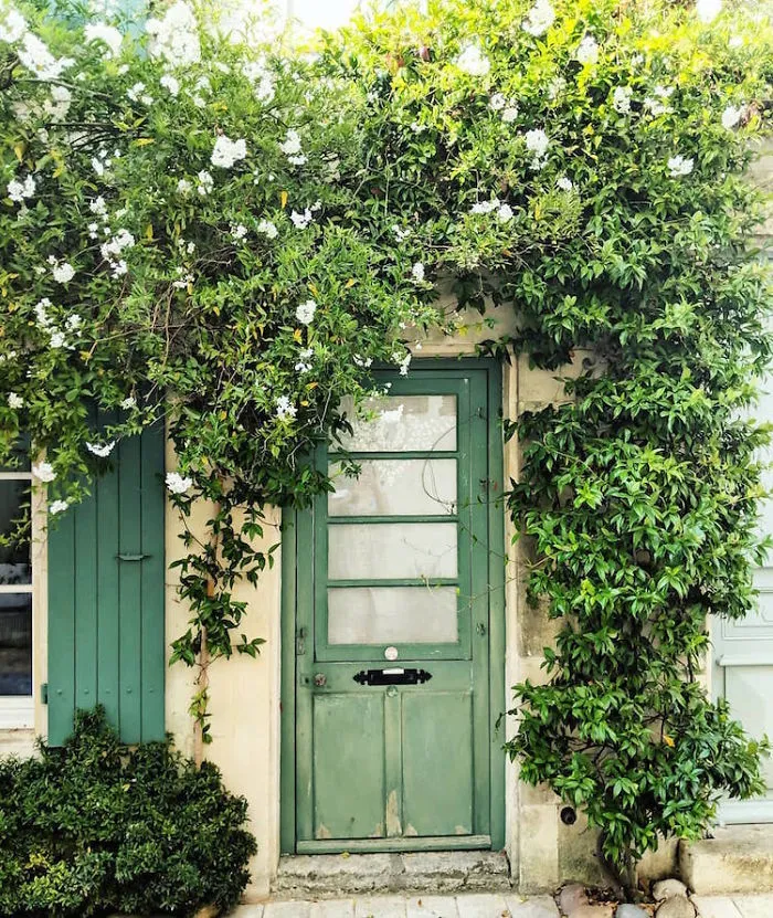 Woman Captures London's Most Beautiful Front Doors And They Look Straight Out Of A Wes Anderson Movie