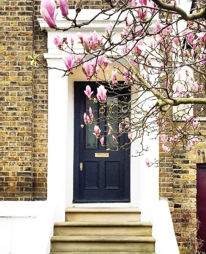 Woman Captures London's Most Beautiful Front Doors And They Look Straight Out Of A Wes Anderson Movie