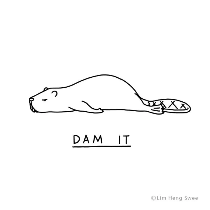 Beaver