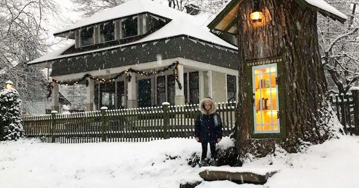 Woman Turned 110-Year-Old Dead Tree Into A Free Little Library For The Neighborhood And It Looks Magical