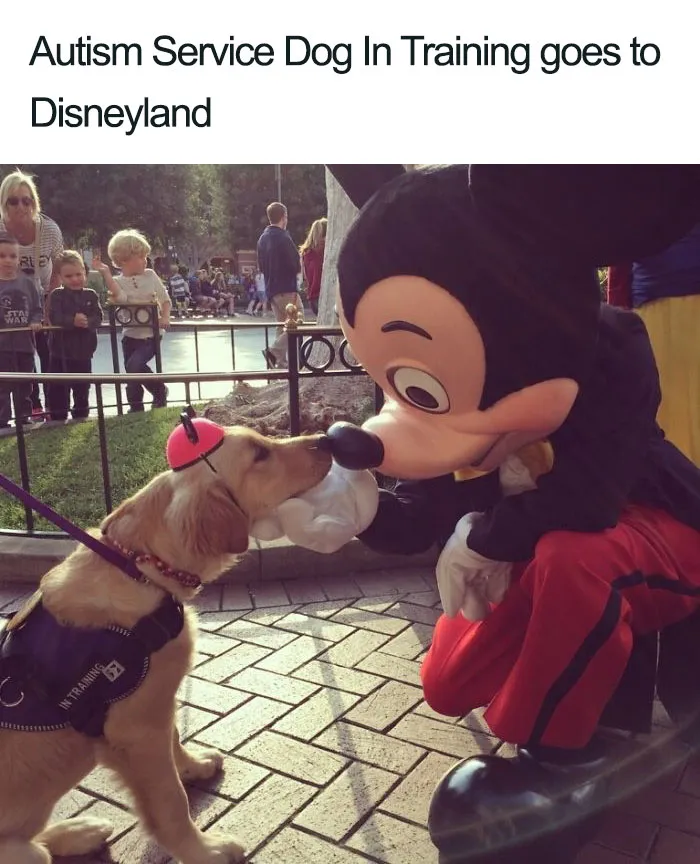 24 Of The Most Awesome Things That Disney Employees Have Ever Done