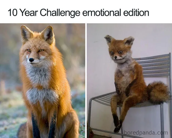 35 Funniest Memes That Mock The ‘10 Year Challenge'
