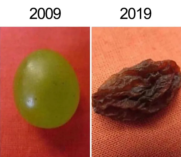 25 Divertidos memes que se burlan del "Desafío de los 10 años"
