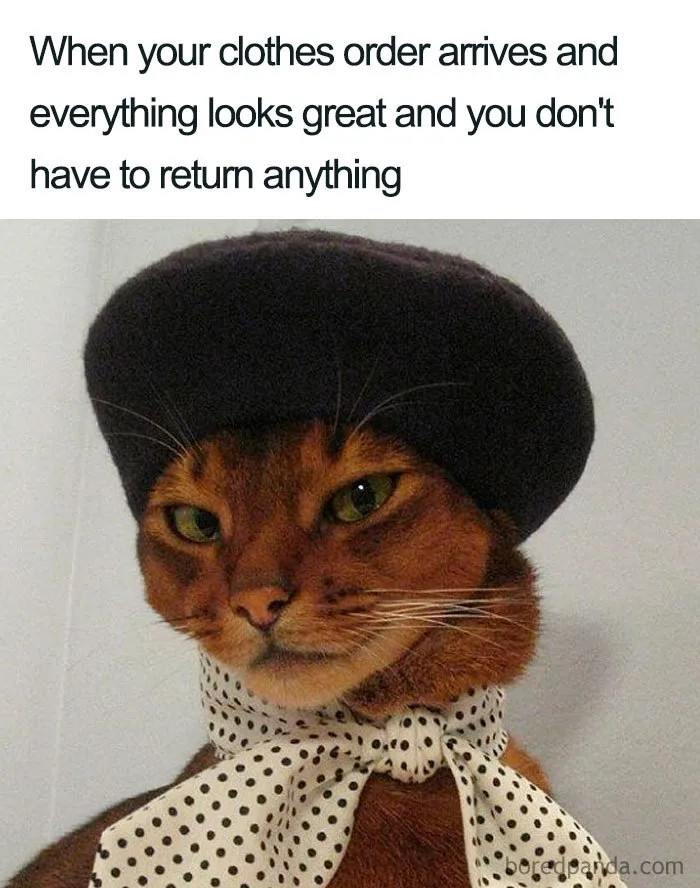 50 Fashion Disasters Turned Into Hilarious Memes