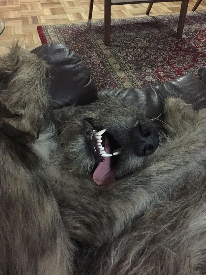 Sleeping Beauty