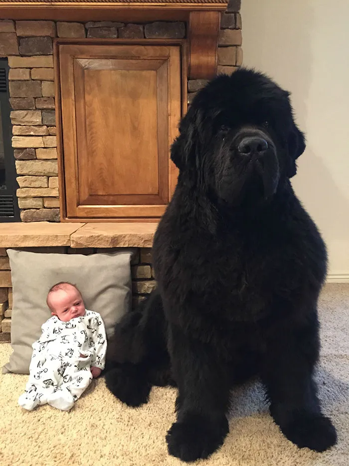 16 Months Apart
