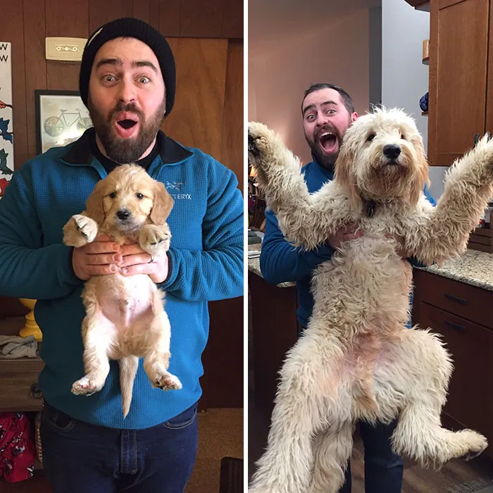 Irwin ha cumplido un año