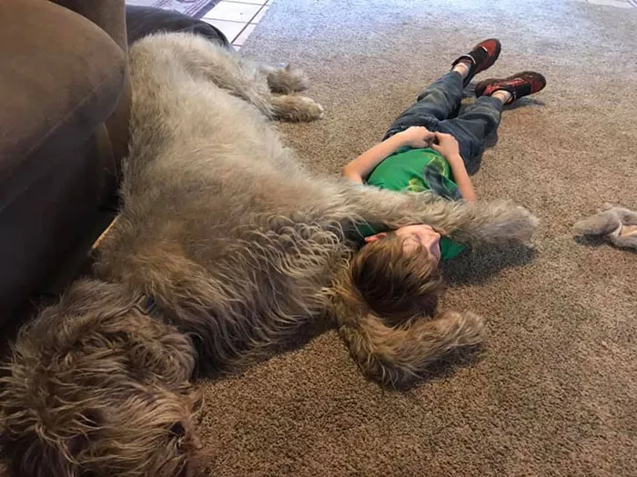 Jarvis vigilando a su niño