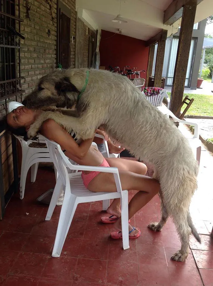 Best Kisses