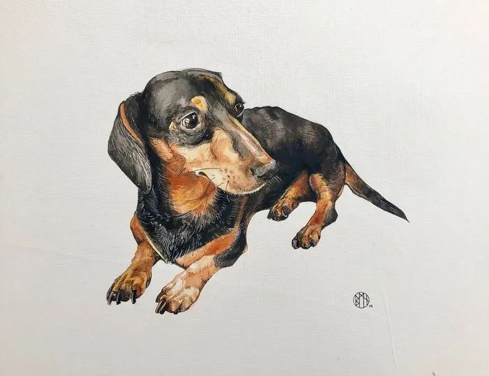 Been Busy - Thought I’d Try Doing A Dog For The First Time.