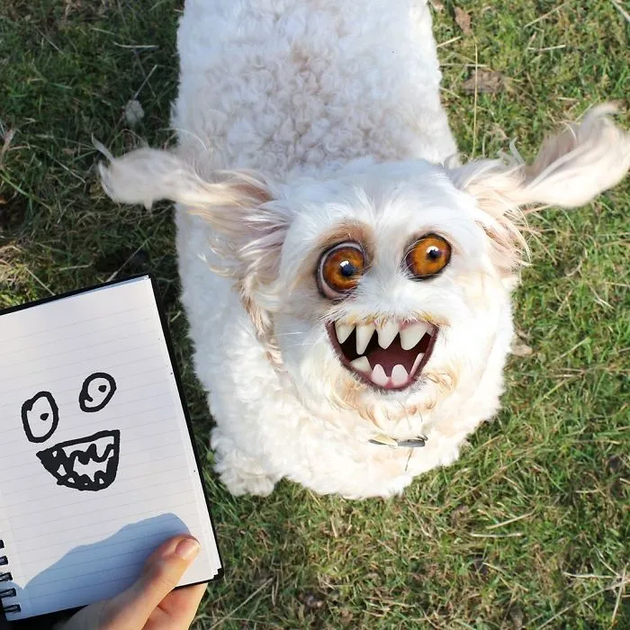 Doggie